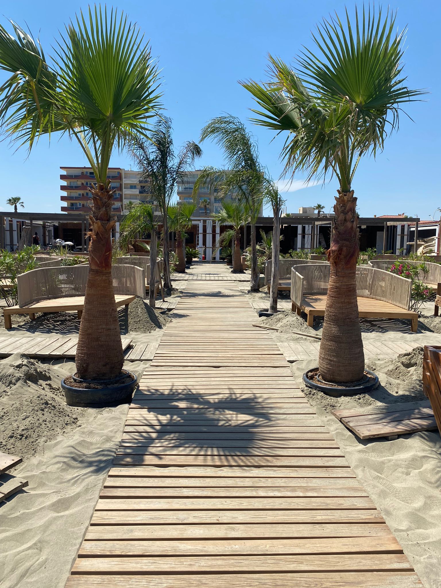 Allée en bois avec des palmiers sur une plage
