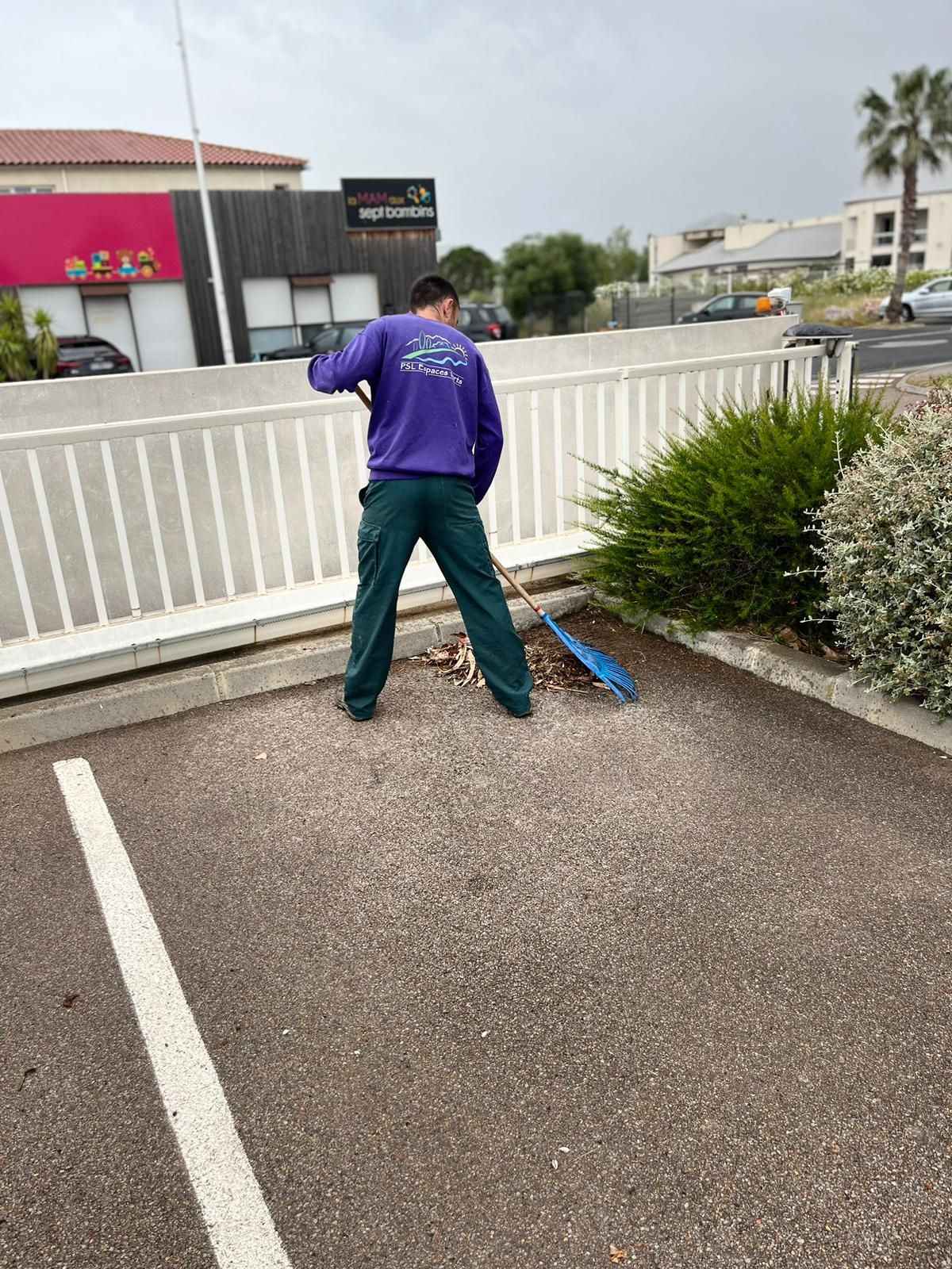 Employé de Paysage Sans Limite ramassant les feuilles avec un rateau