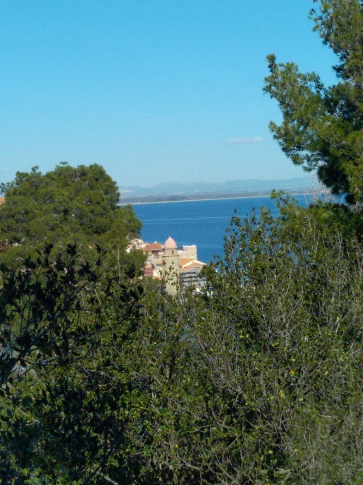 Entretien d'un jardin à Collioure
