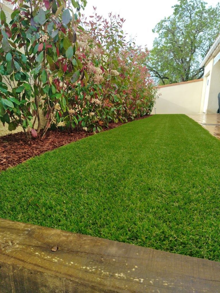 Gros plan sur de la pelouse avec une haie