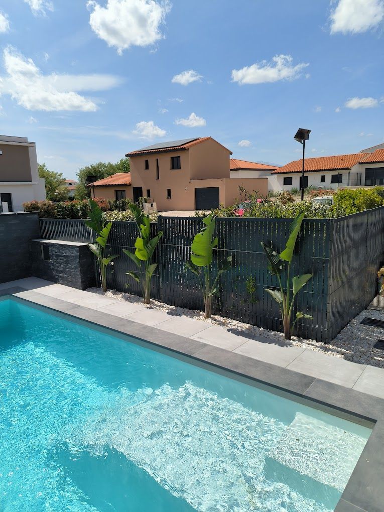 Pousses de palmiers le long d'une piscine