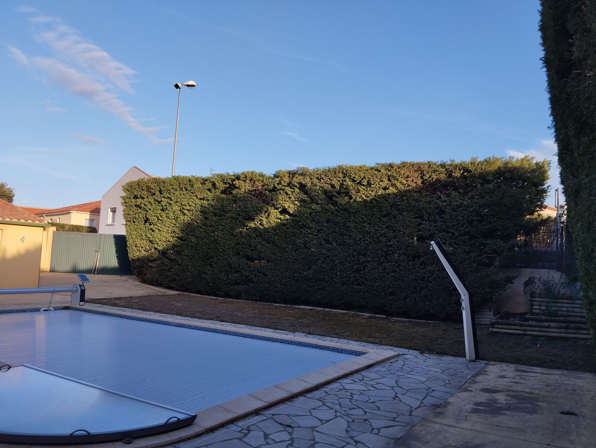 Haie de cyprès élaguée