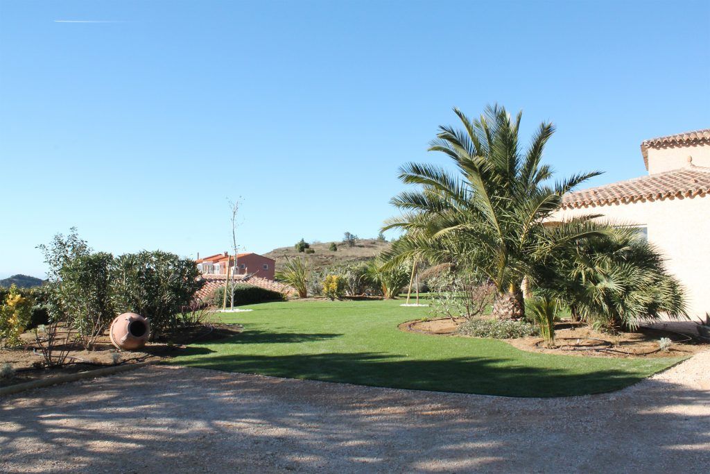 Grand jardin avec palmiers