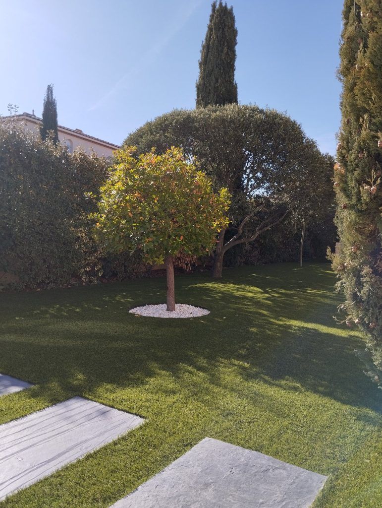 Jardin avec pas japonais