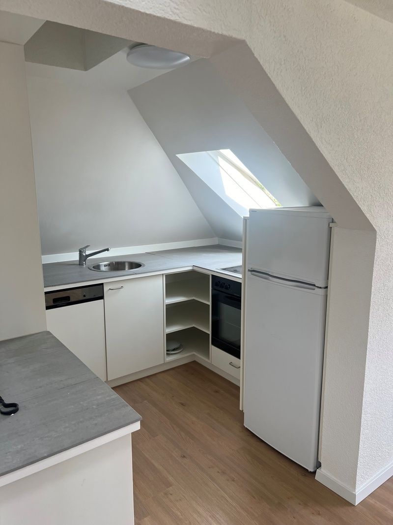 Une cuisine avec réfrigérateur, cuisinière, évier et lave-vaisselle.