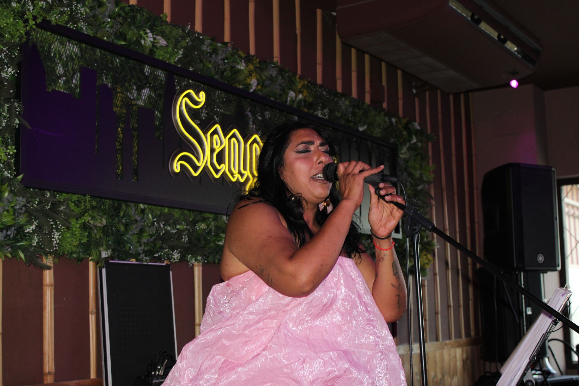 shows en vivo