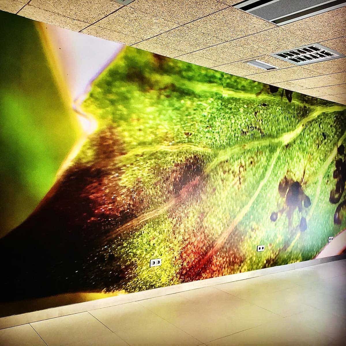 Vista de cerca de un gran mural de hojas verdes vibrantes en una pared con un techo moteado de color claro.