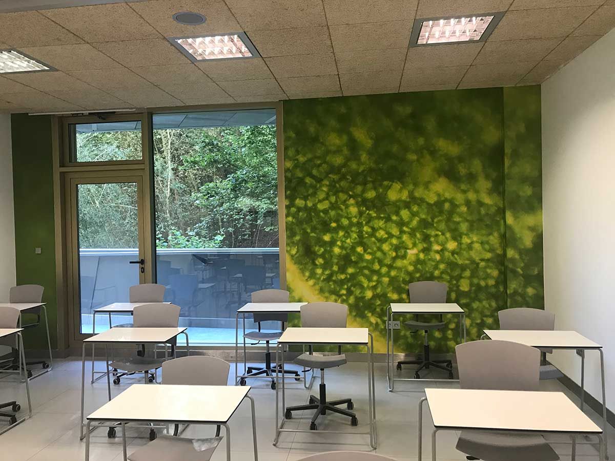 Aula vacía con escritorios, sillas y un gran ventanal con vistas a los árboles. Arte mural abstracto verde.