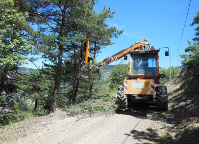 Tracteur forestier TREE EMME VR150