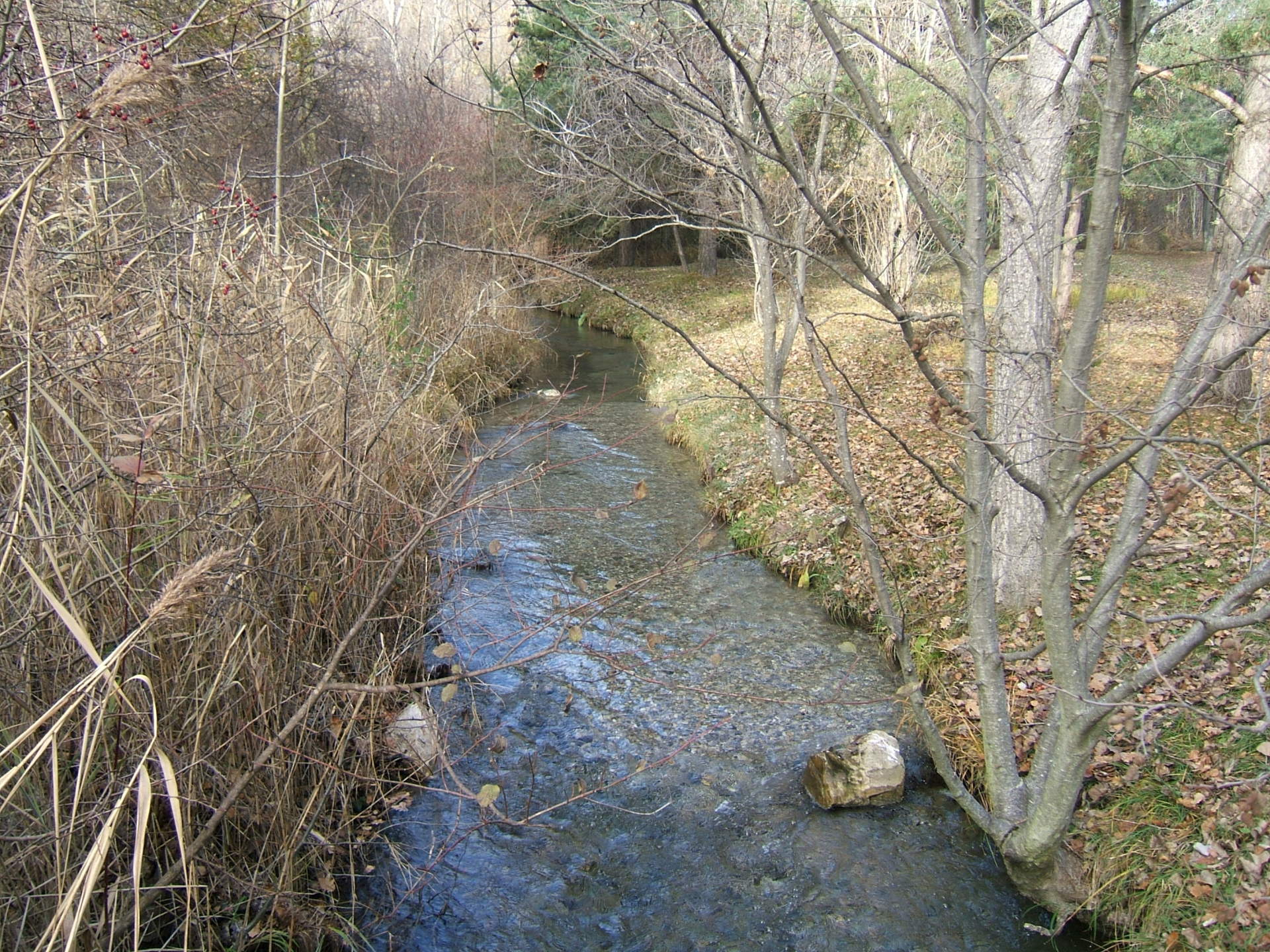Entretien des cours d'eau