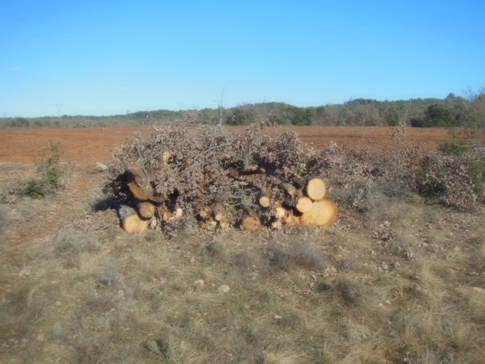 Installations animalières