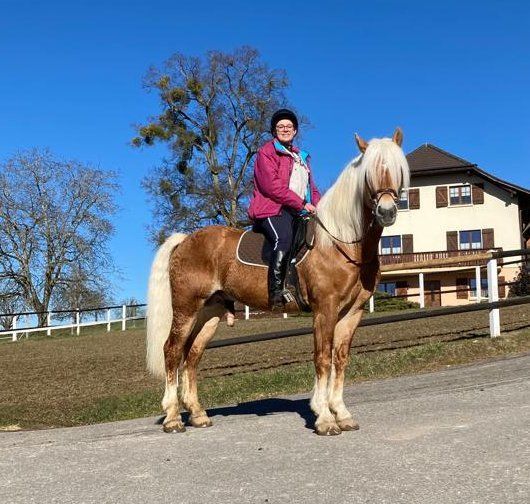 Haflingerverein Freiburg