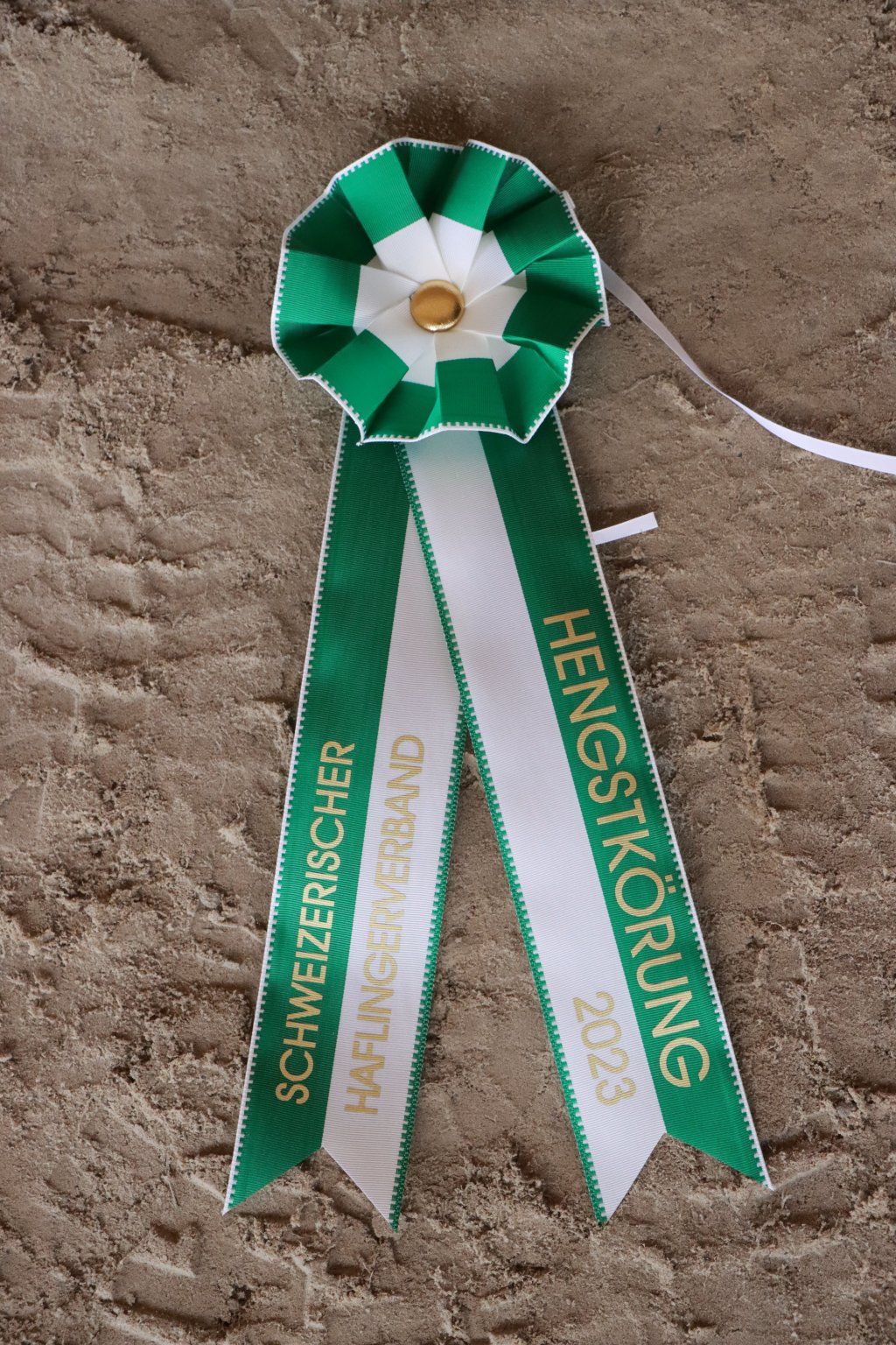 Haflingerverein Freiburg