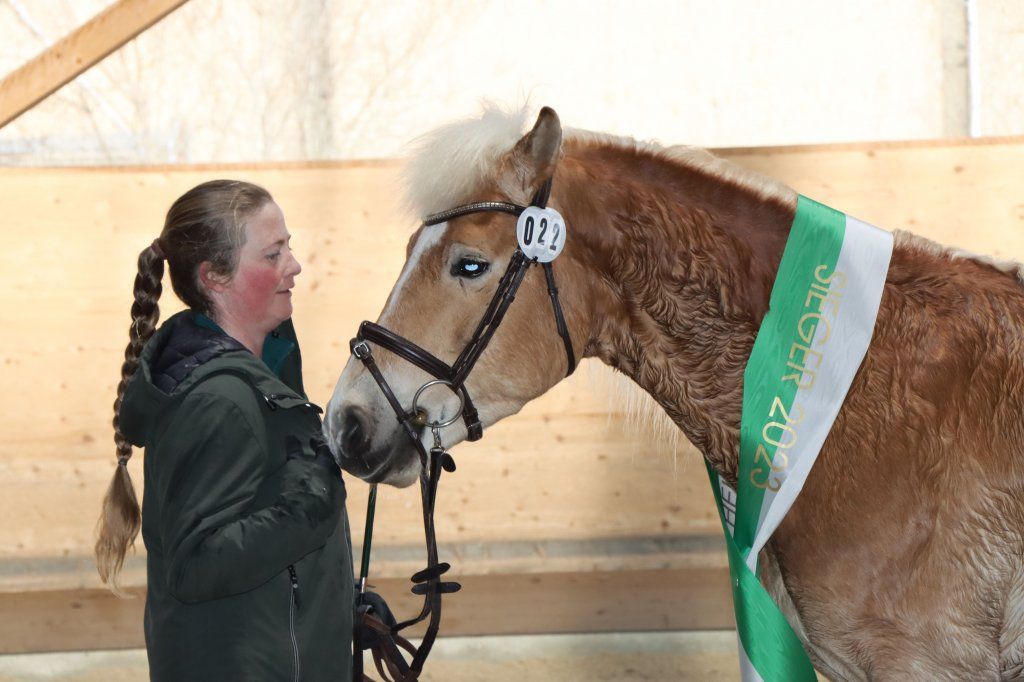 Haflingerverein Freiburg
