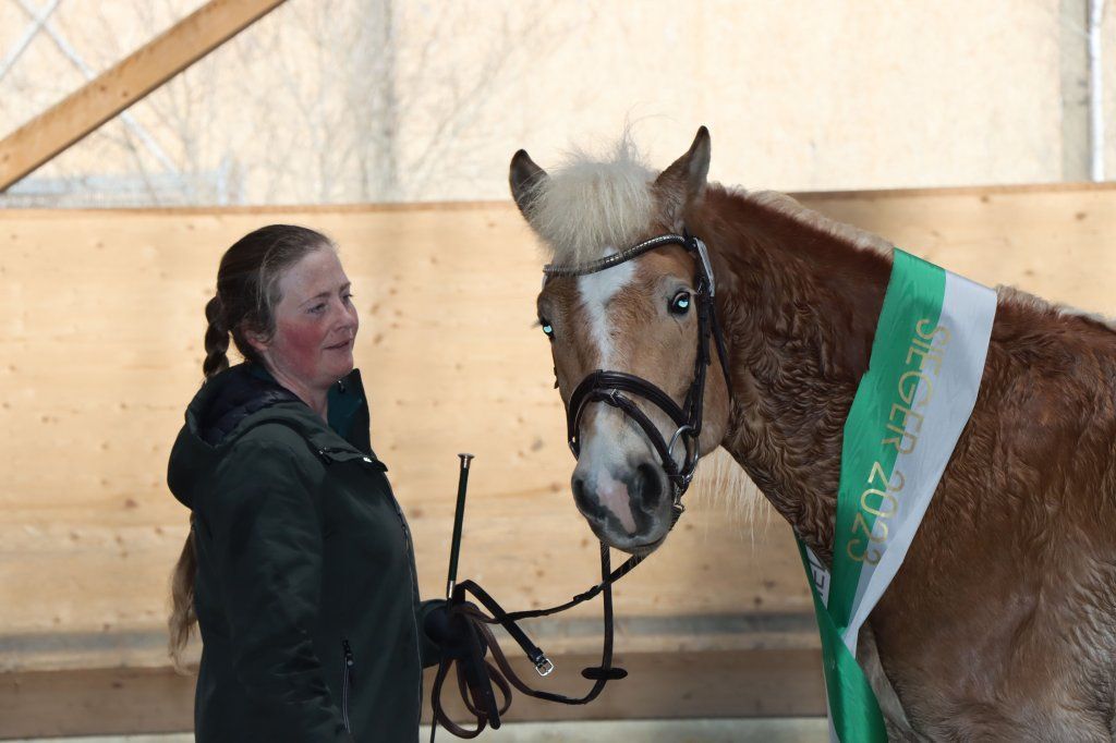 Haflingerverein Freiburg