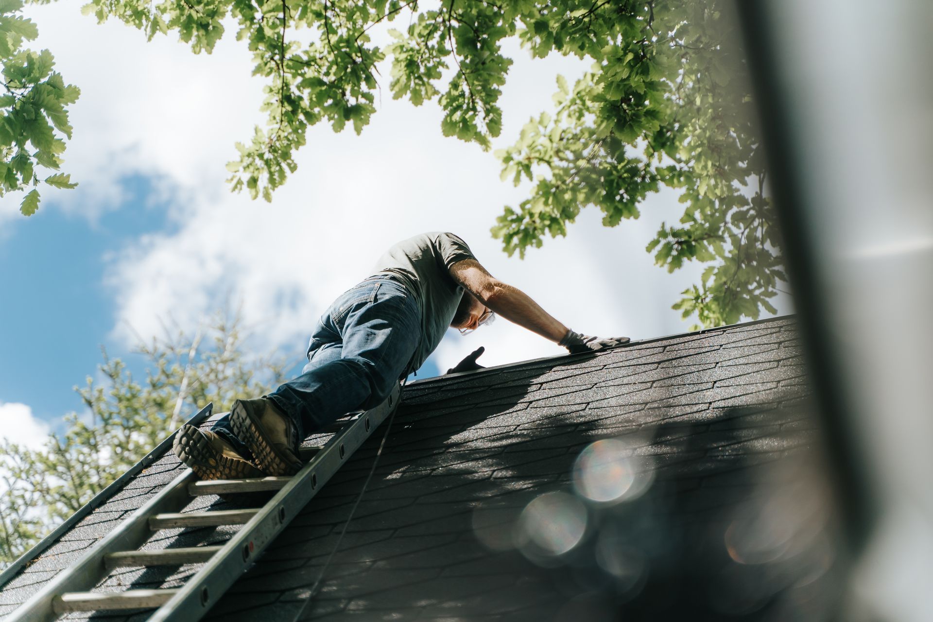 Utilisation d'un produit écologique pour nettoyer une toiture