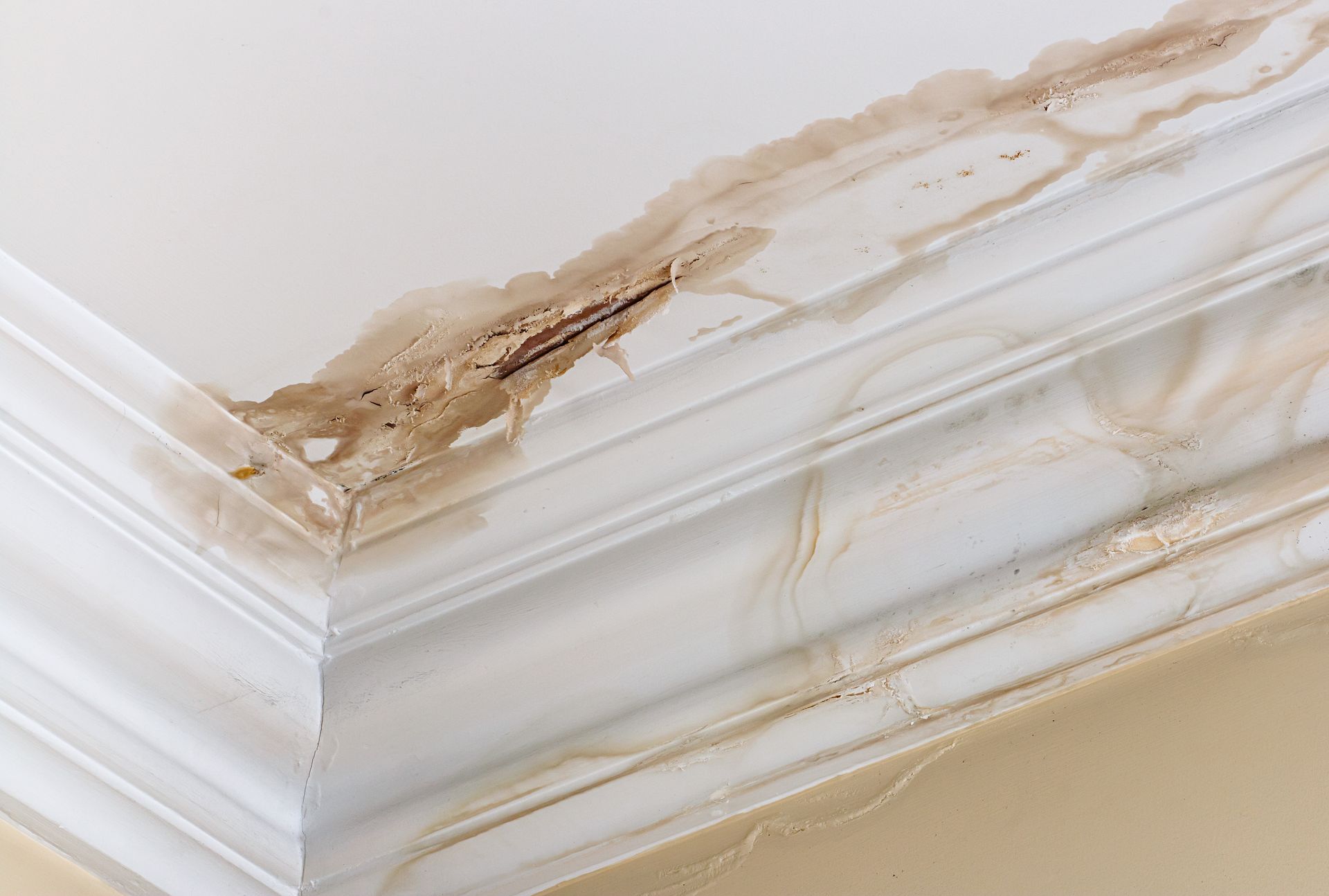 Plafond abîmé par une infiltration