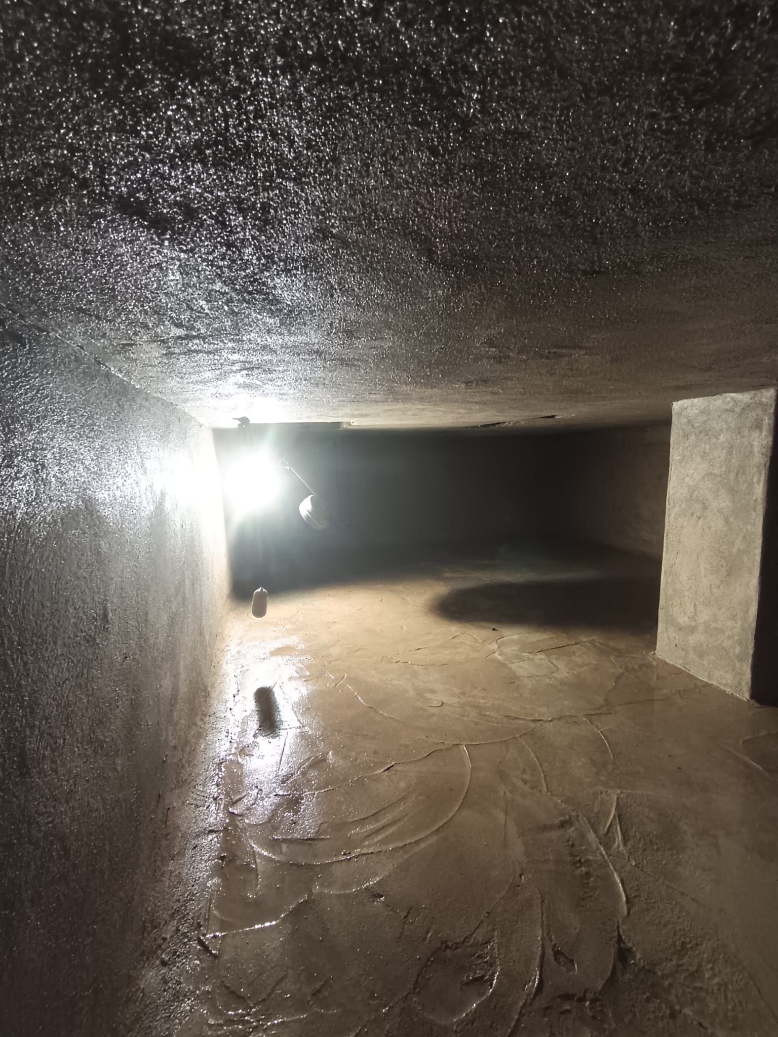 Una persona con guante azul inspecciona la abertura de una tubería con una pequeña tapa en una zona cubierta de césped.