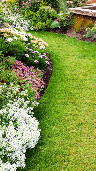 Une pelouse verte et luxuriante longe un parterre de fleurs vibrantes aux fleurs rose et blanche.