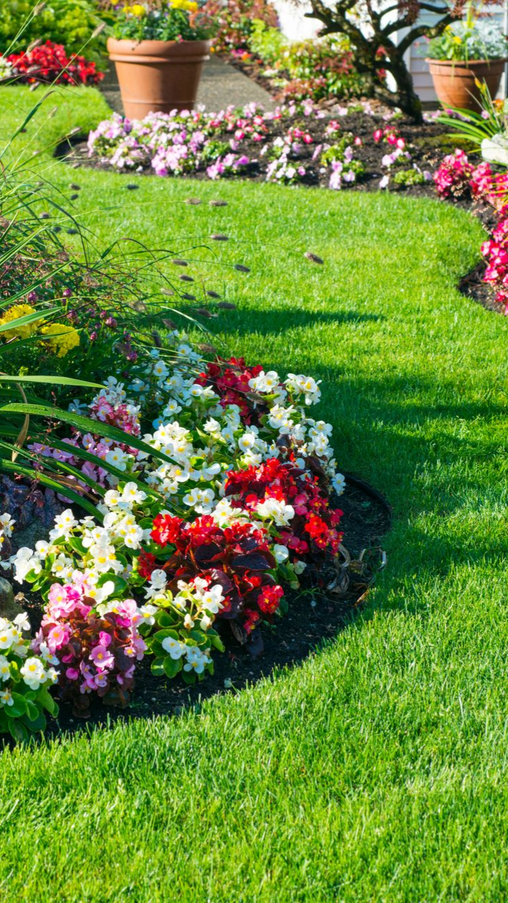 Parterres de fleurs colorées bordés d'herbe verte dans un jardin ensoleillé.