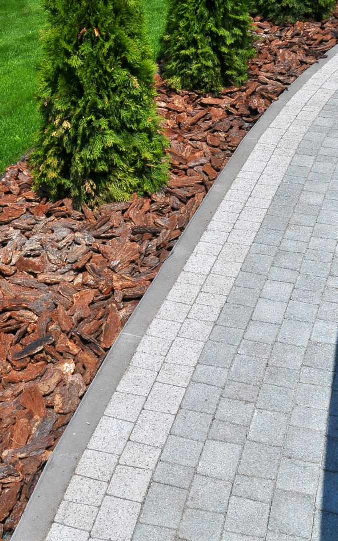 Un chemin pavé borde un lit de paillis brun et de conifères verts.