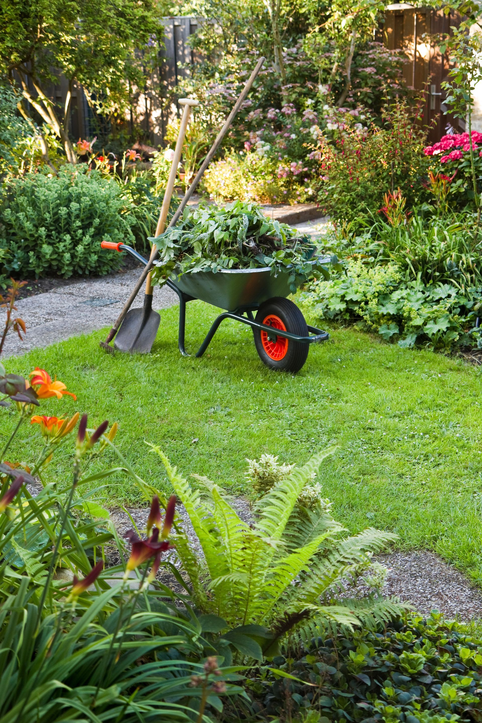 Brouette pleine de feuilles dans un jardin ensoleillé, avec des outils appuyés contre elle.