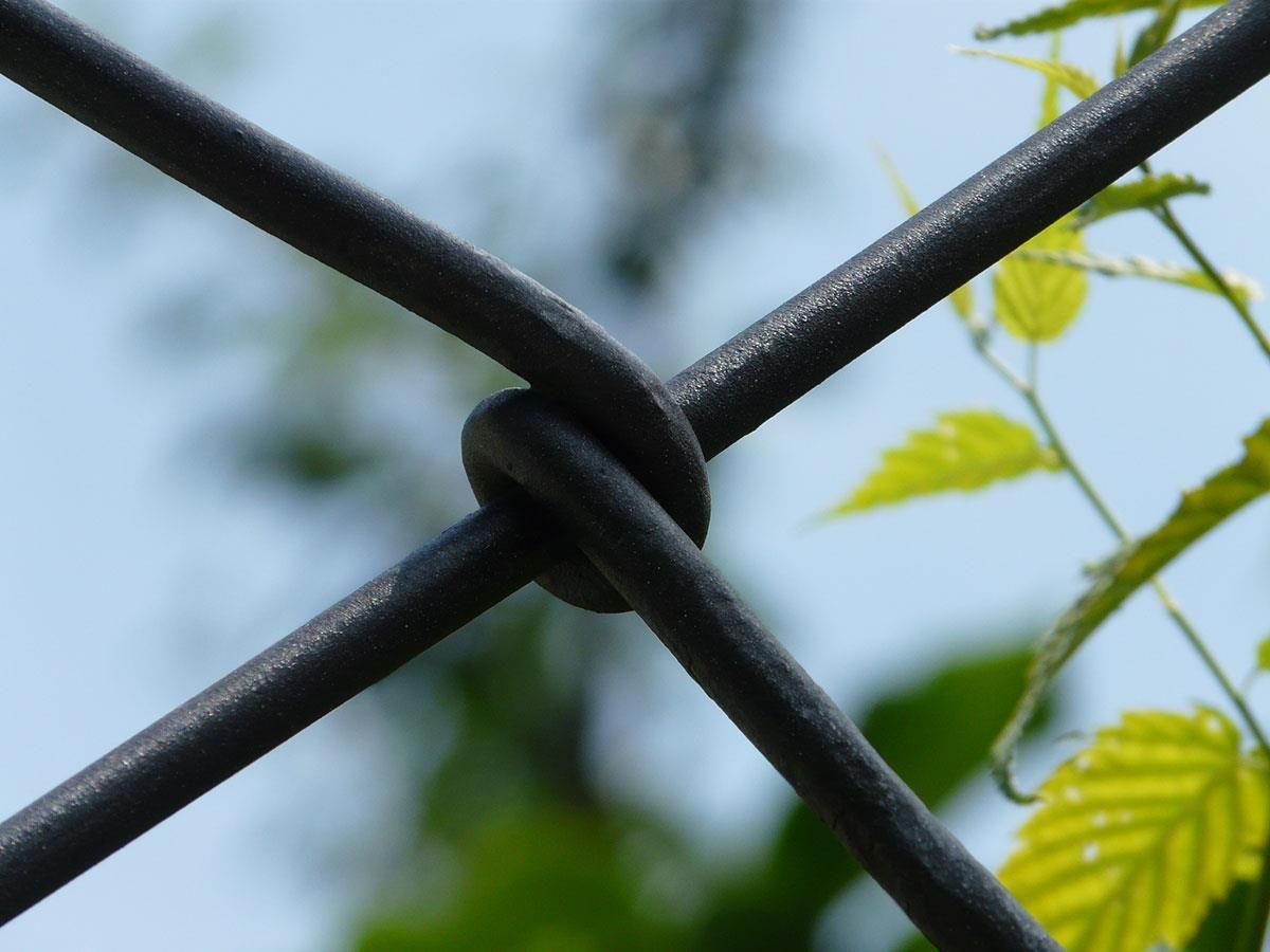 Eine Nahaufnahme eines Zauns mit Blättern im Hintergrund