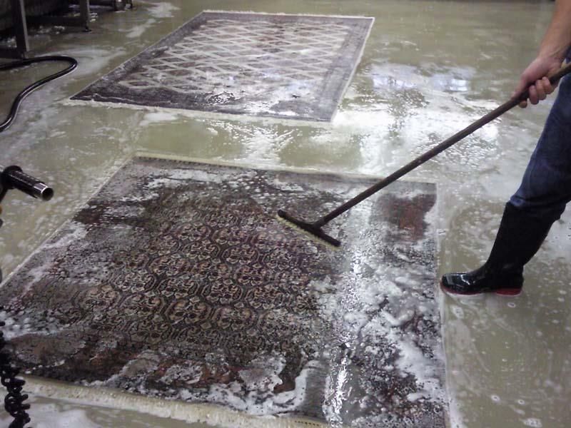 Eine Person reinigt einen Teppich mit einem Staubsauger.