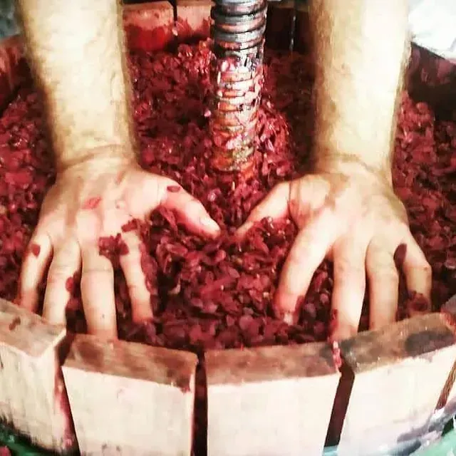 Una persona está haciendo forma de corazón con sus manos en una pila de frijoles rojos.