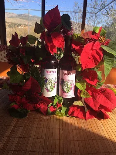 Dos botellas de vino están sobre una mesa junto a flores de Pascua.