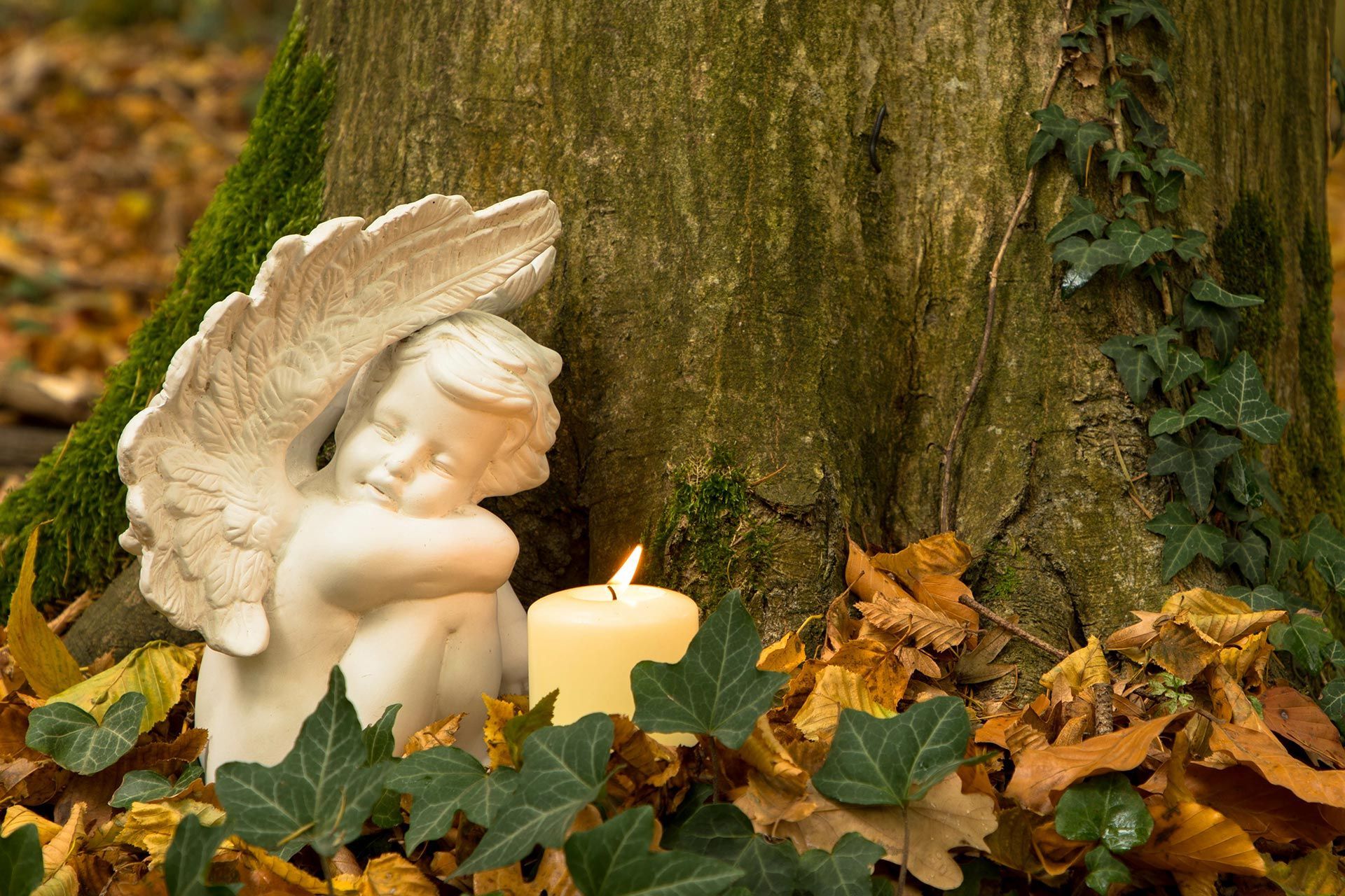 Eine Engelsstatue, die mit einer Kerze neben einem Baum sitzt.