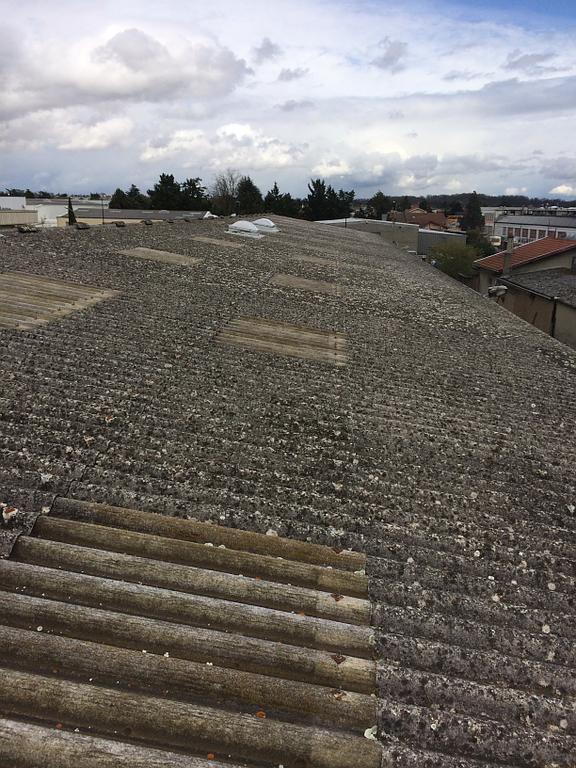 Toiture recouverte de mousse