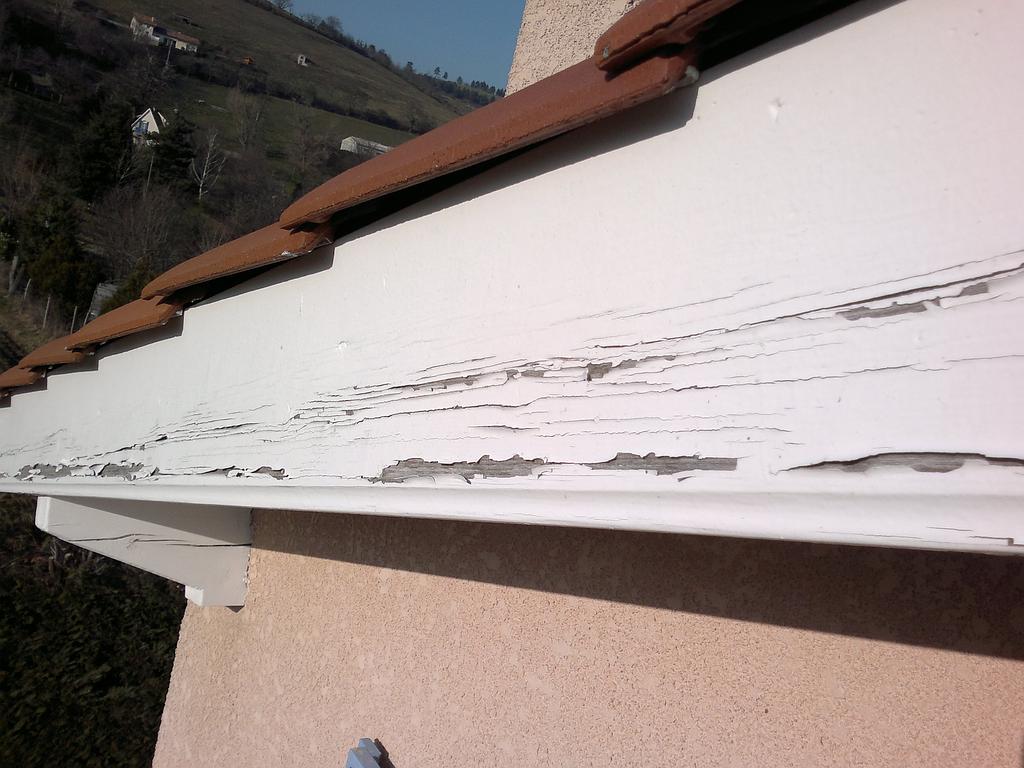 Planche de rive de toit blanche écaillée