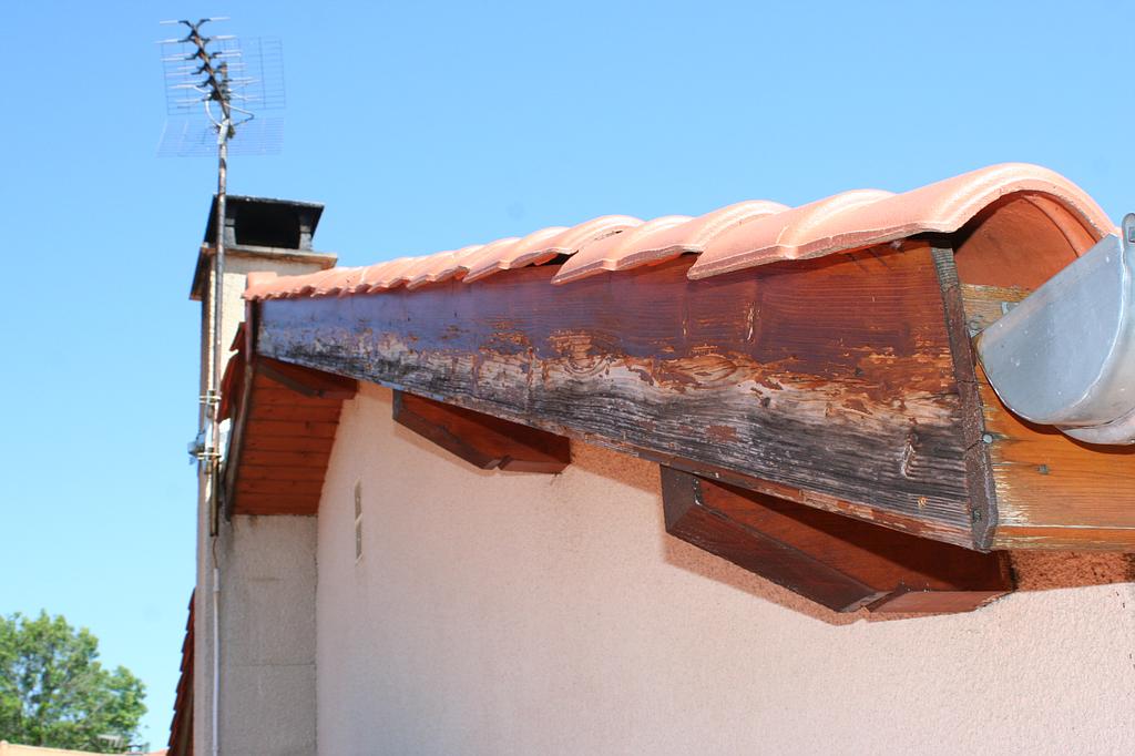 Planche de rive de toit abimée