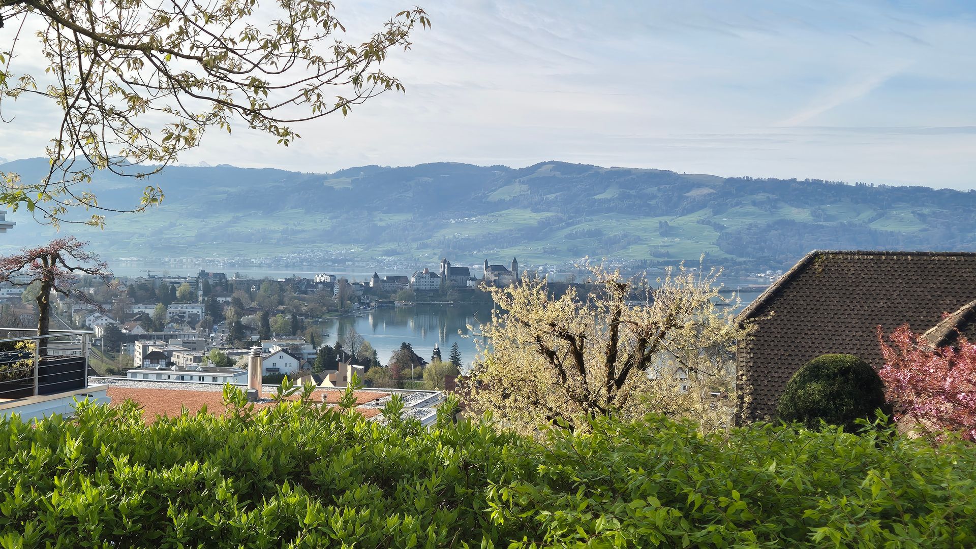 Ein Blick auf eine Stadt von einem Hügel aus mit Bäumen im Vordergrund und Bergen im Hintergrund.