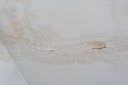 Plafond endommagé par l'eau, avec peinture écaillée et taches.