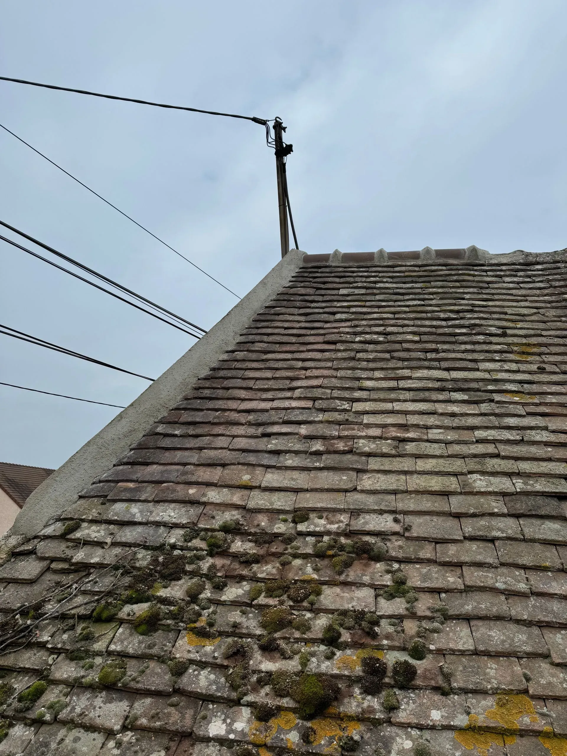 Toit de tuiles délavé par les intempéries, recouvert de mousse, et lignes électriques aériennes.