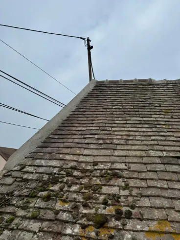Toit de tuiles délavé par les intempéries, recouvert de mousse, et lignes électriques aériennes.