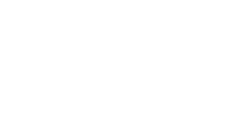 Multiservicios DVG