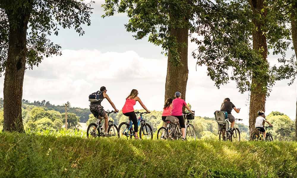 Radfahrer fahren an einem sonnigen Tag durch einen von hohen Bäumen gesäumten, grasbewachsenen Park.