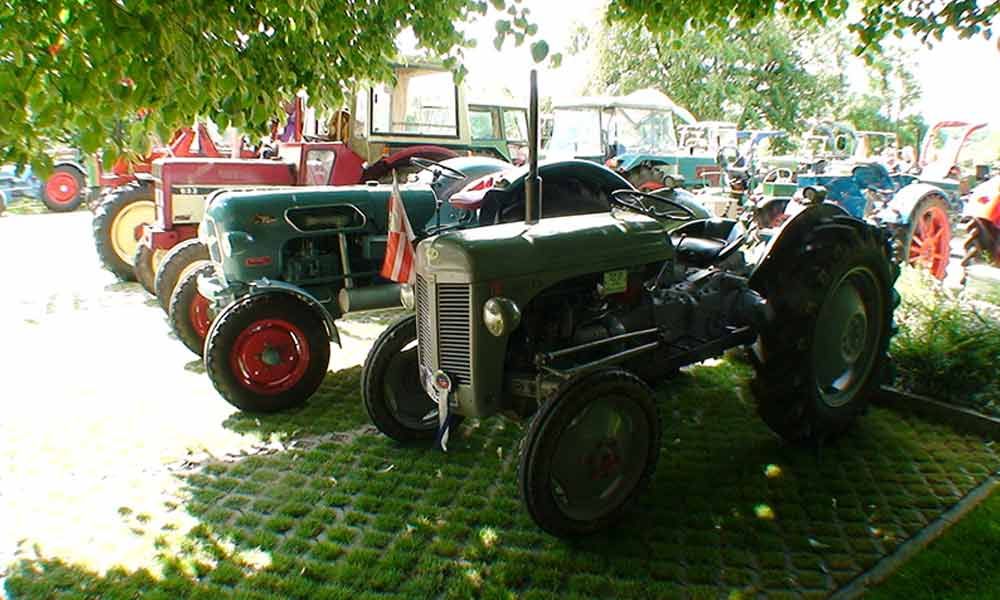 Oldtimer-Traktoren standen im Freien auf einer Wiese unter Bäumen, einer davon war ein dunkelgrüner Traktor.
