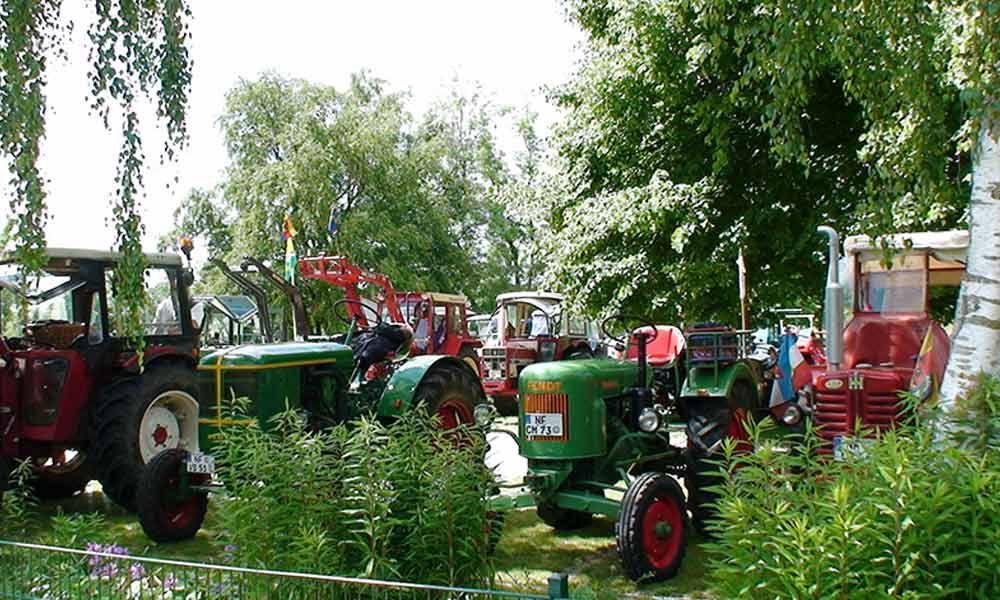 Mehrere Oldtimer-Traktoren, überwiegend rot und grün, parkten unter Bäumen in einer grasbewachsenen Freiluftausstellung.