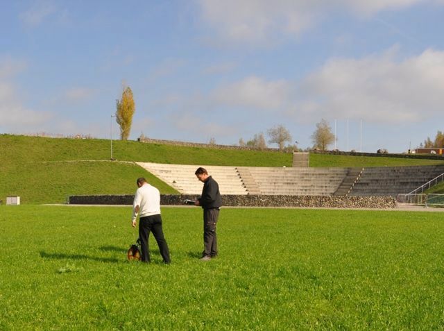 Zwei Personen stehen auf einer Rasenfläche neben einer Freilufttribüne aus Beton unter blauem Himmel