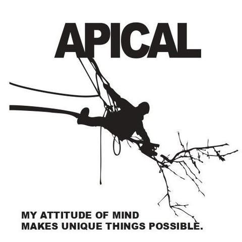 Logo entreprise Apical