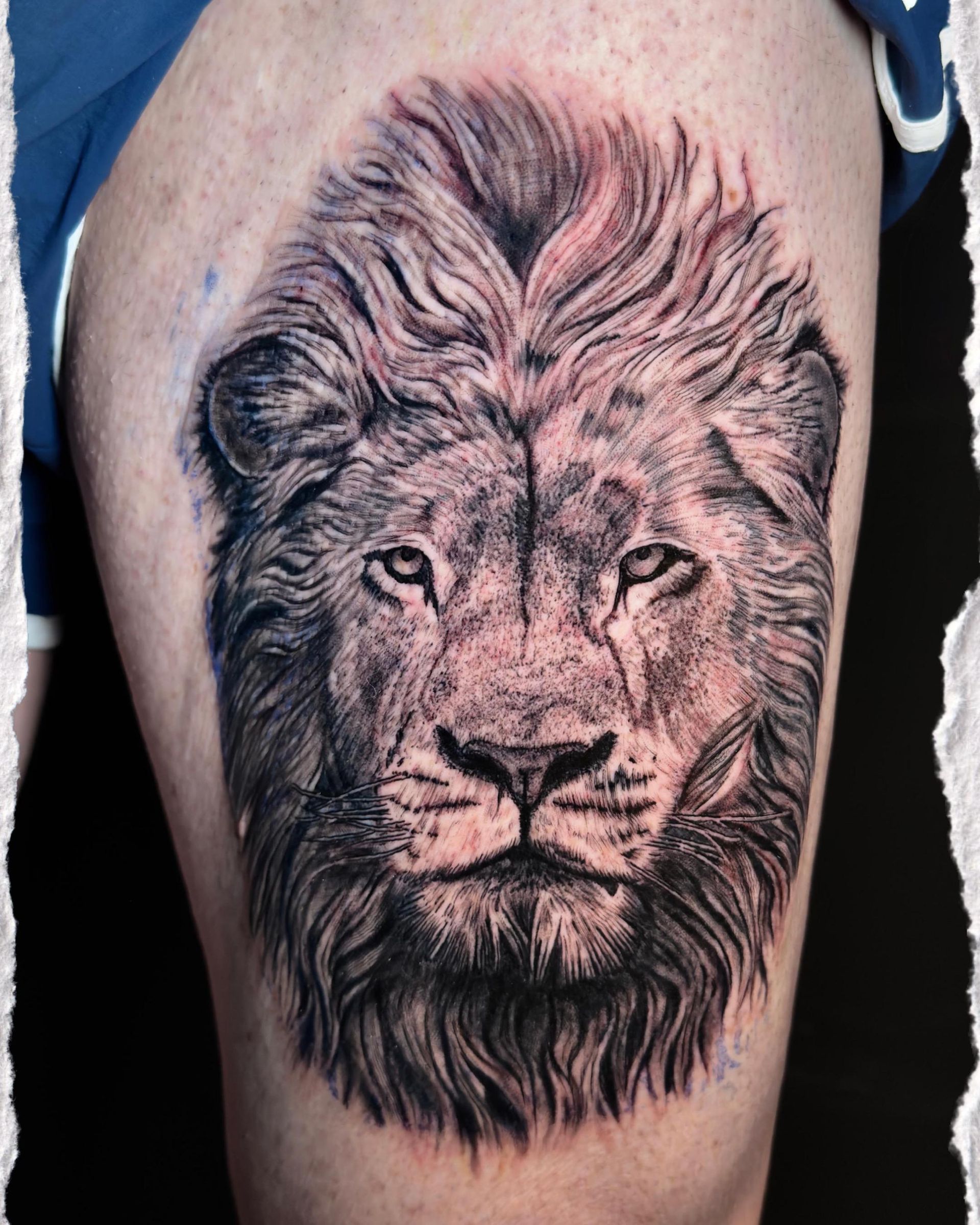Tatuaje de la cara de un león en blanco y negro en la parte superior de la pierna o el muslo.