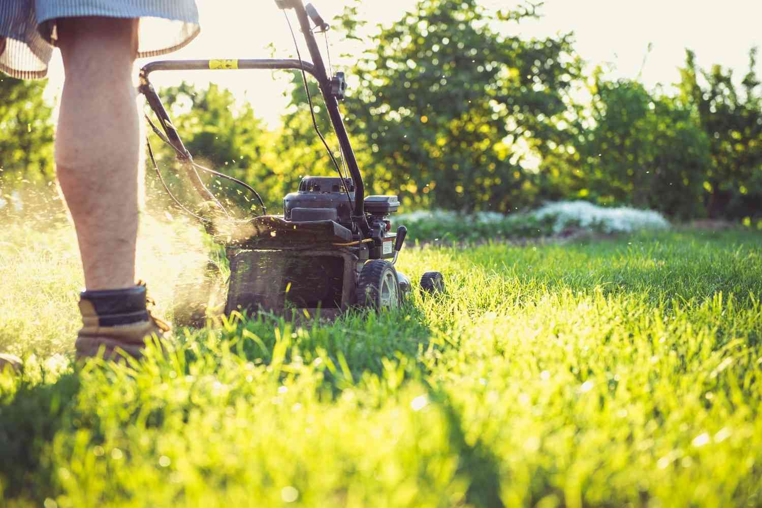 Persona cortando un césped verde con una cortadora de césped en un día soleado.