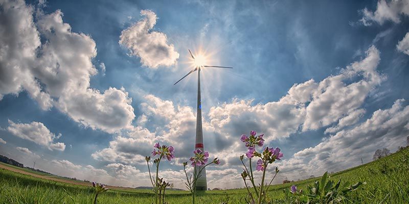 Une éolienne dans un champ lumineux de fleurs roses sous un ciel nuageux spectaculaire