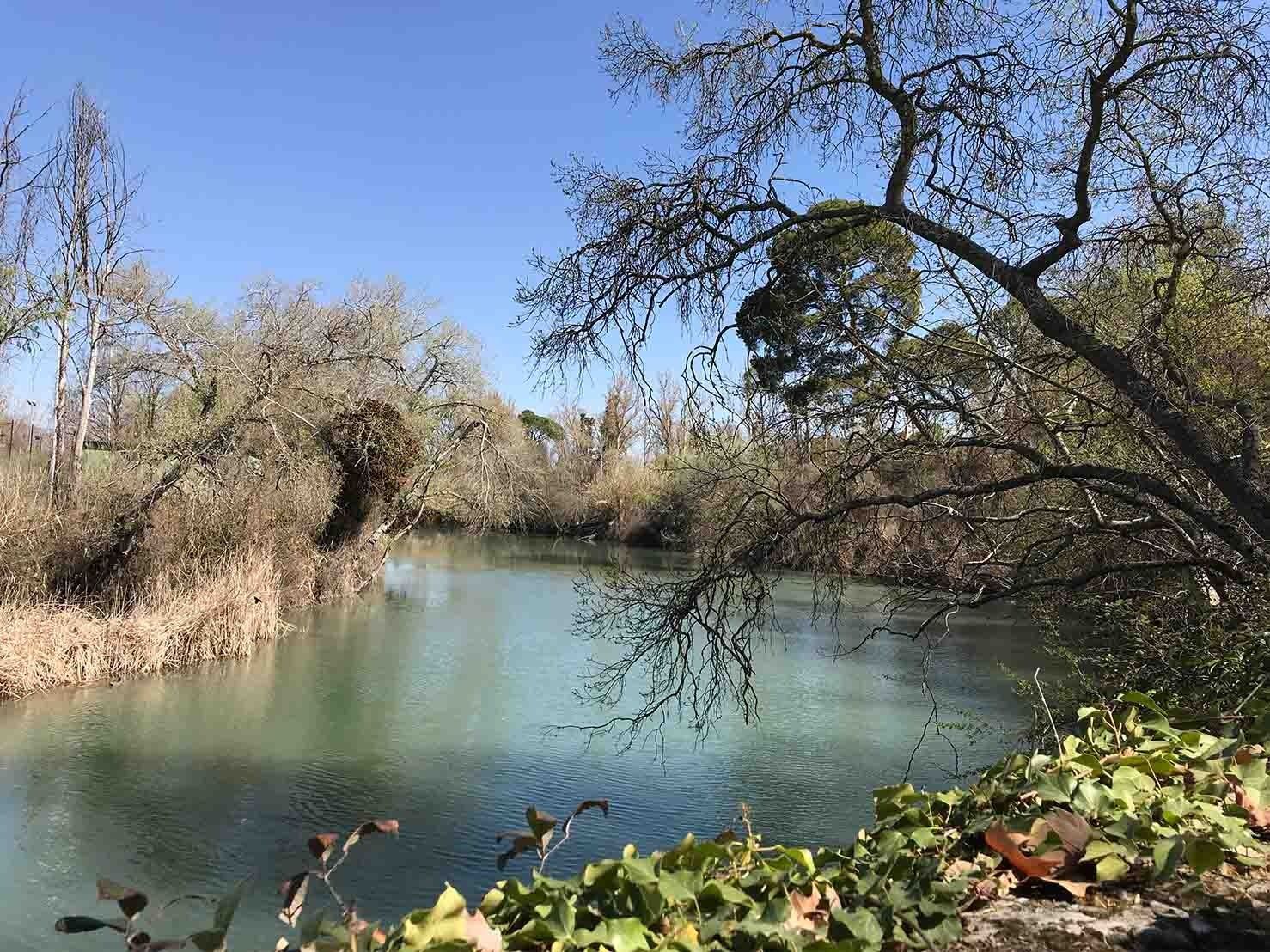 Un río tranquilo fluye a través de un entorno natural, con árboles que bordean las orillas bajo un cielo azul despejado.