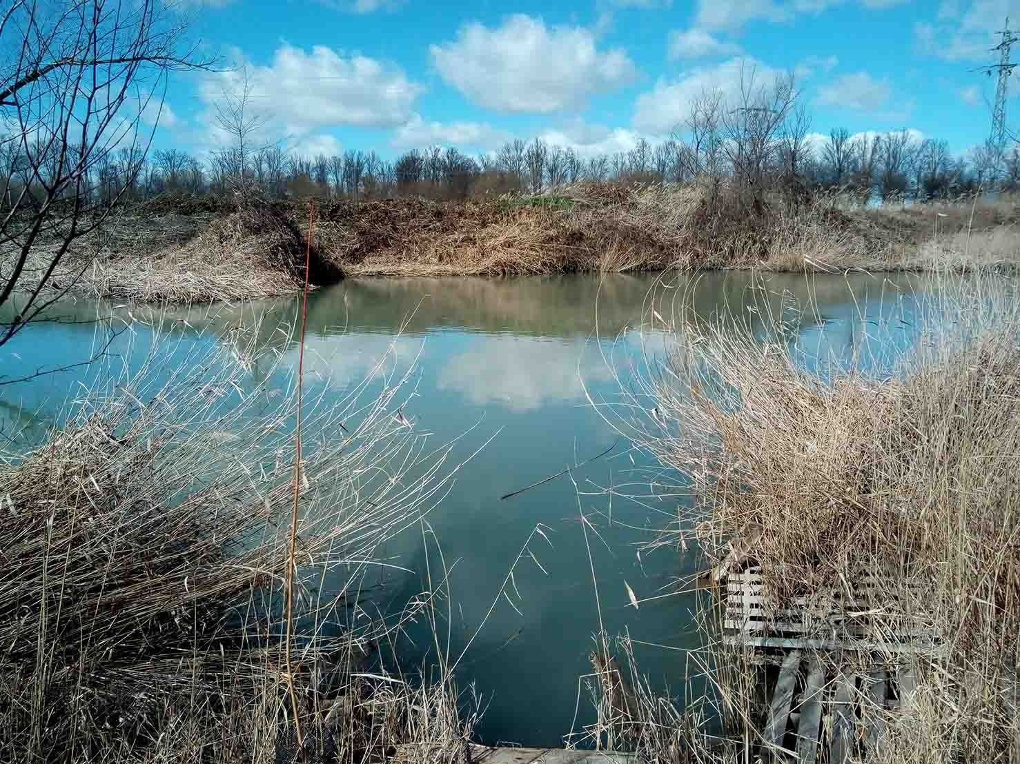 Una tranquila extensión de agua que refleja el cielo, flanqueada por hierbas secas y árboles desnudos bajo un cielo soleado.