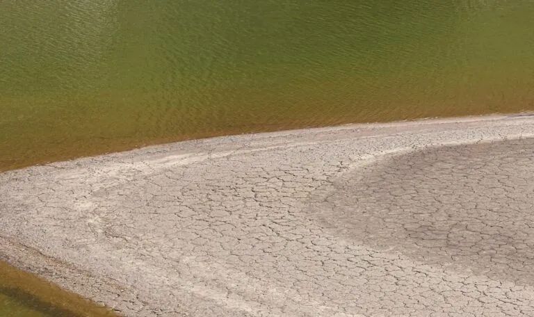 Tierra seca y agrietada junto a agua verde, probablemente un lago o el lecho de un río durante una sequía.